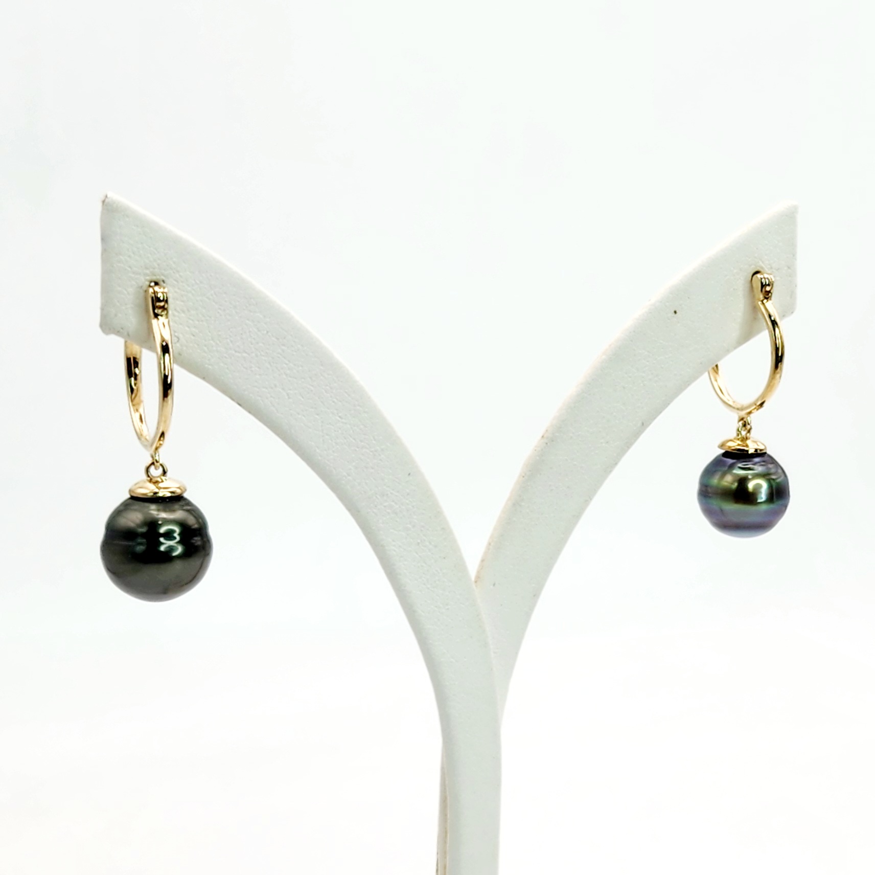 9ct Yellow Gold 9-10mm Round Tahitian Black Pearl Hoop Earrings 9ct Gold Ring, Gold Jewellery, Gold Rings 